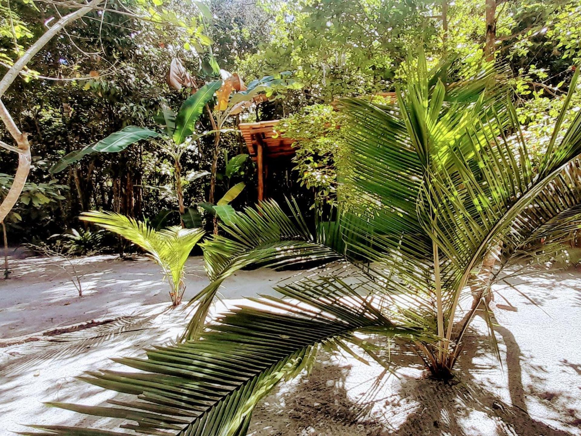 Chales Guigo-Cumuruxatiba, Sossego E Privacidade Exterior foto