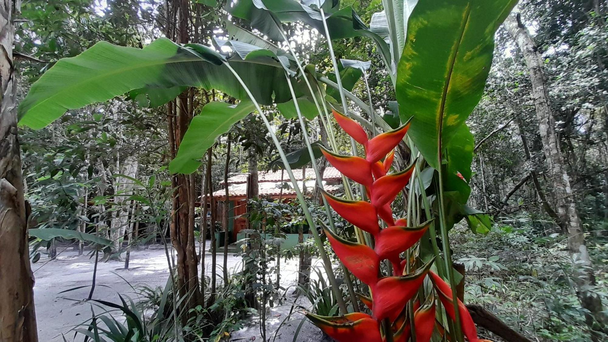 Chales Guigo-Cumuruxatiba, Sossego E Privacidade Exterior foto